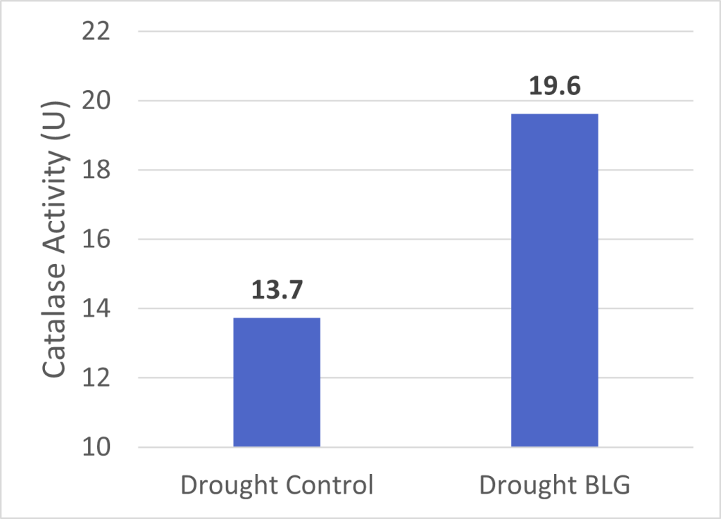 Graph showing BioLiNE's ability to improve catalase activity.