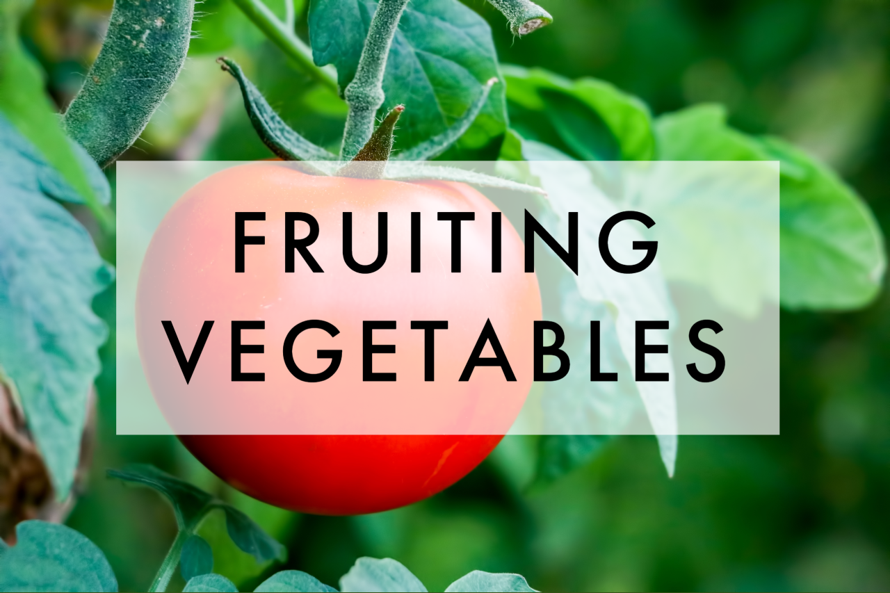 Give Plants a New Appetite for Growth